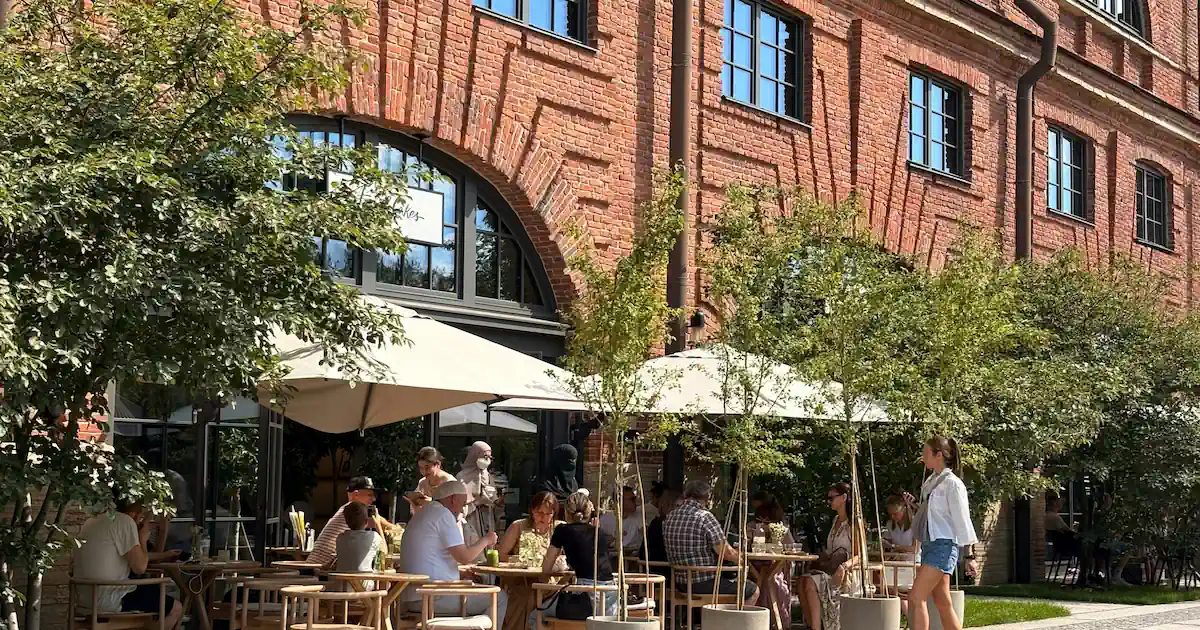 Best Social Venues in Lisbon: Where to Meet People and Make Friends